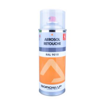 AEROSOL RETOUCHE 400ML MAT RAL 1013