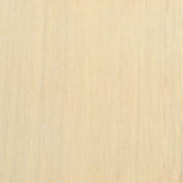 CIT 2400597 CHENE BLANCHI